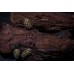 Cochinilla - isopodo - armadillidium gestroi
